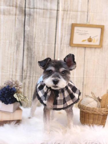 20241008クロムくん